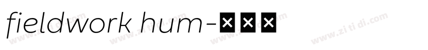 fieldwork hum字体转换